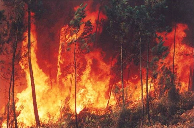 Alargamento do Período Crítico de Incêndios até 31 de Outubro