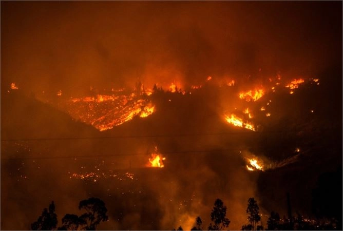 Defenda a floresta dos Incêndios