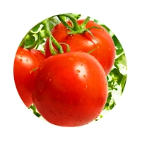 Tomate para Transformação - Empresas Transformadoras Aprovadas para a Campanha 2019